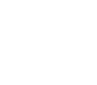 dice